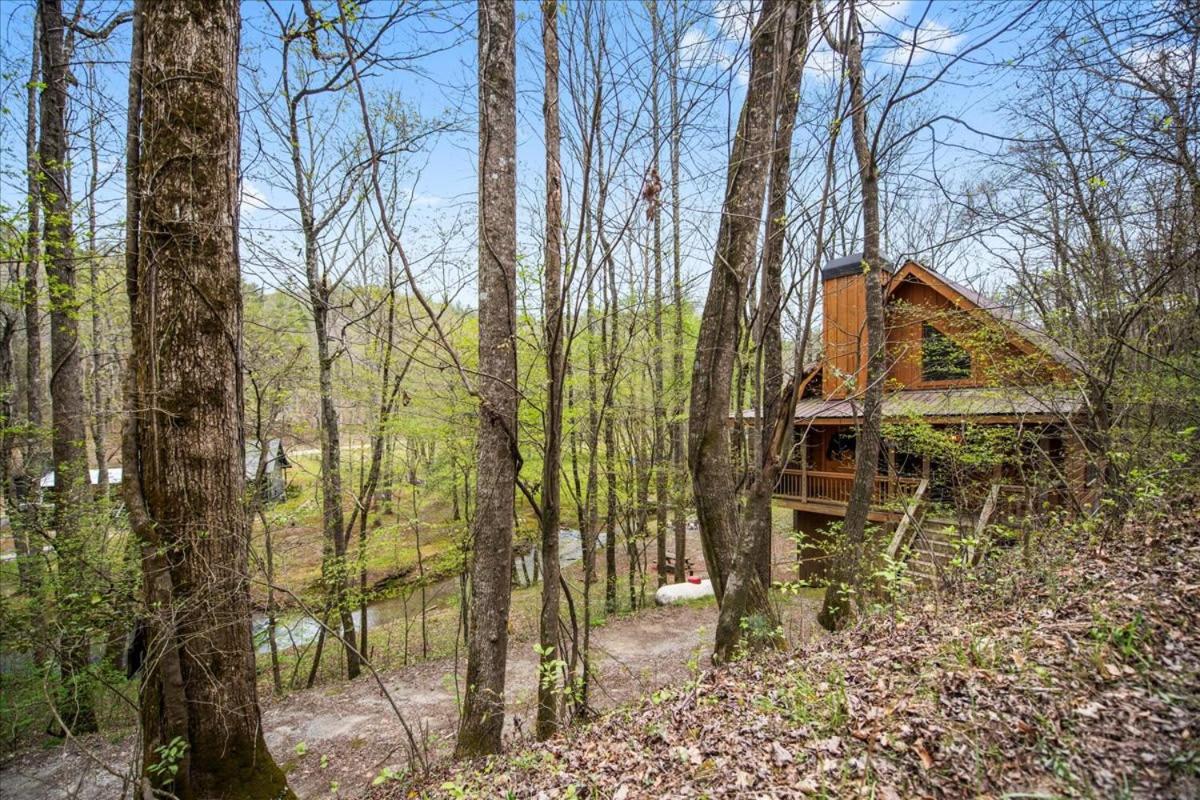 Cozy Cabin Beside Briar Creek, Fire Pit, Wifi Villa Ellijay Exterior foto